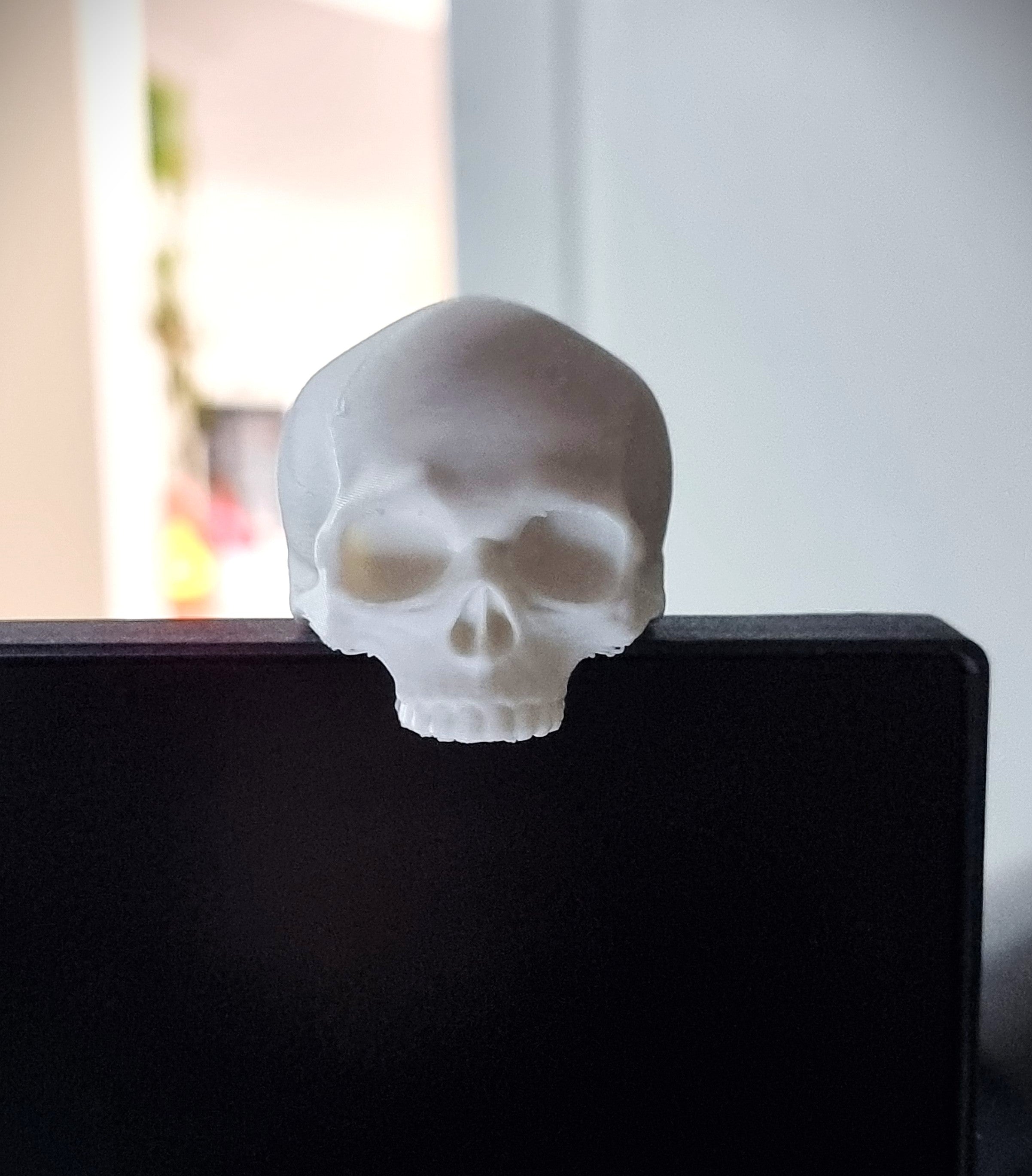 Monitor Skull