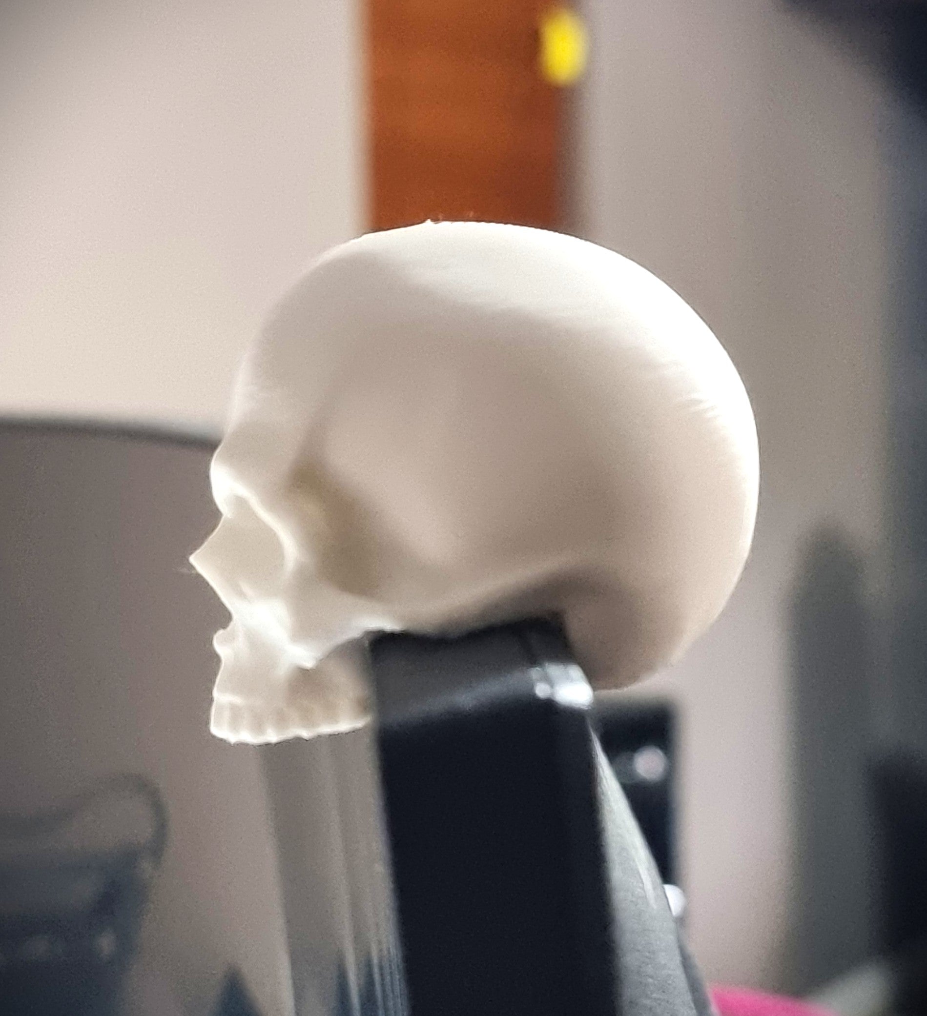 Monitor Skull