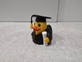 Graduation Duck