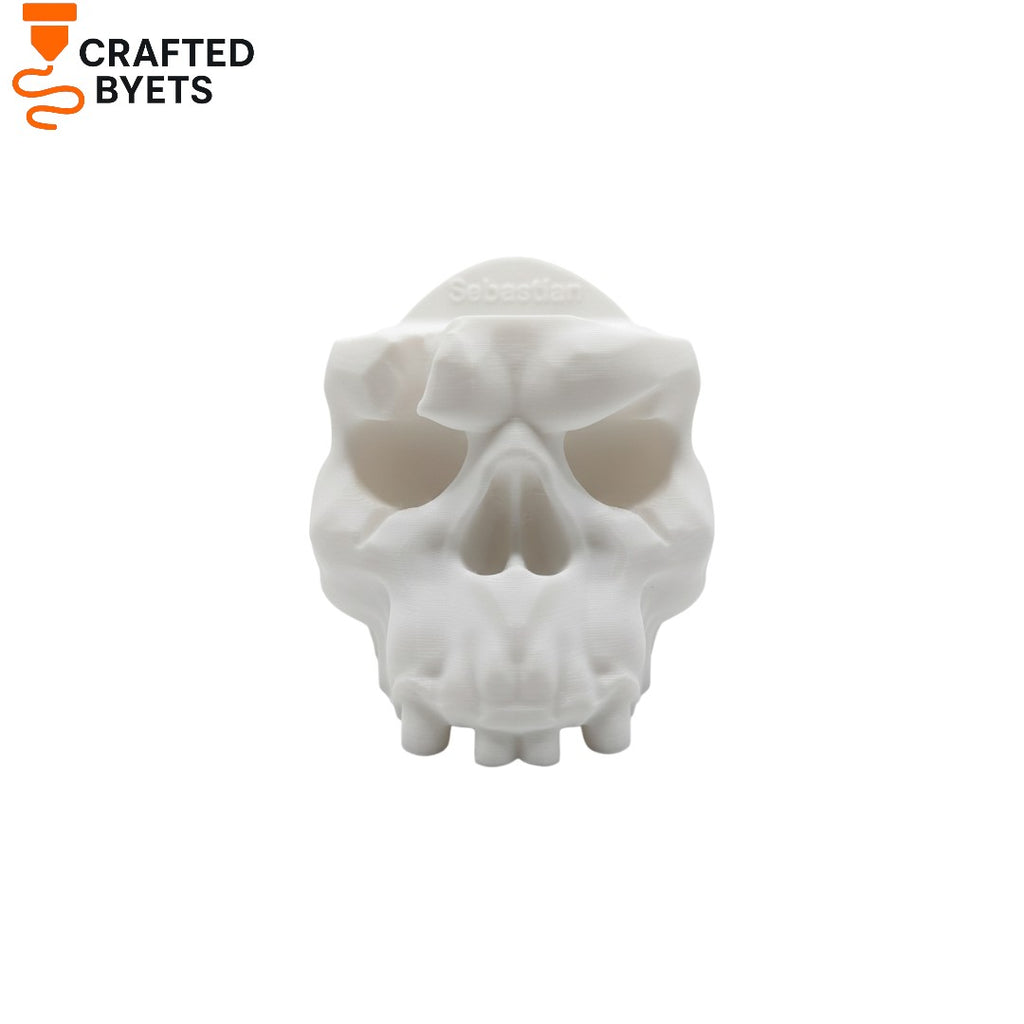Skull PS5 Controller Stand(عصام)