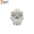Skull PS5 Controller Stand(عصام)